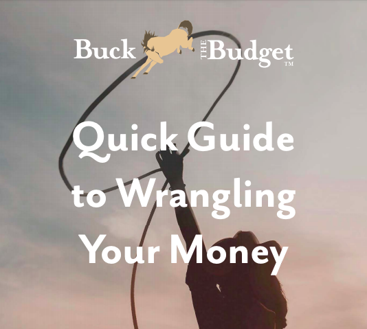 Quick Guide to Wrangling Your Money